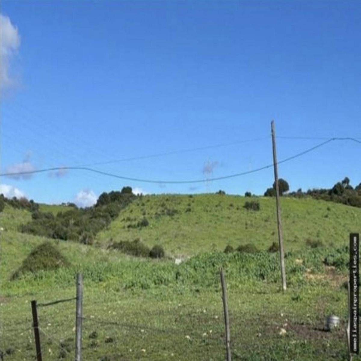 Plot Land in San Mart&iacute;n de Tesorillo