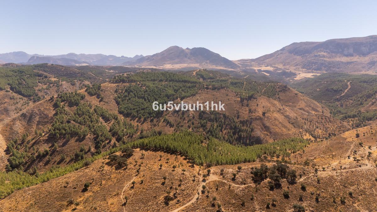 Plot Land in Antequera