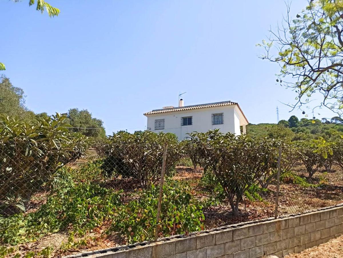 Villa Finca in Estepona
