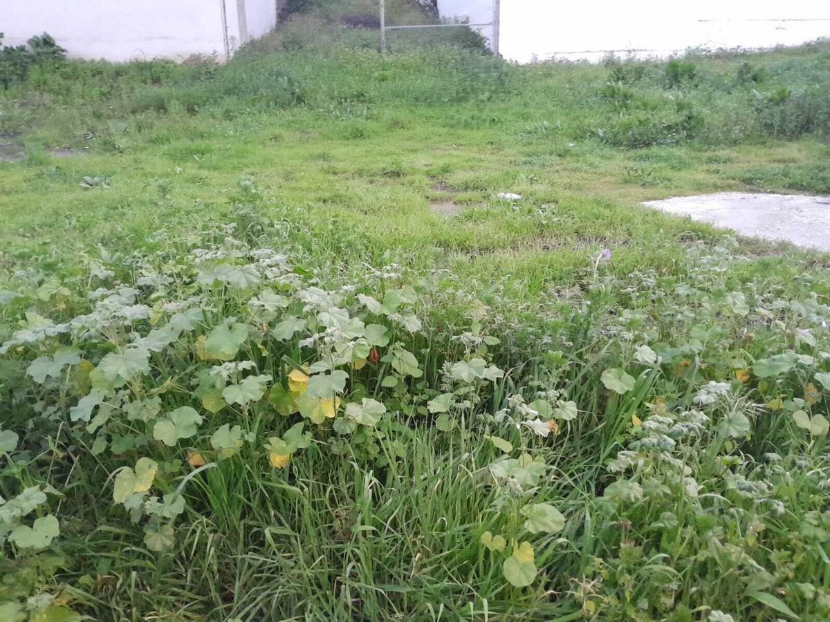 Plot Residential in Casares