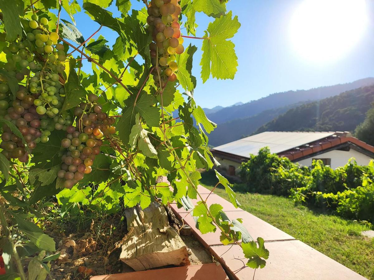 Villa Finca in Genalguacil