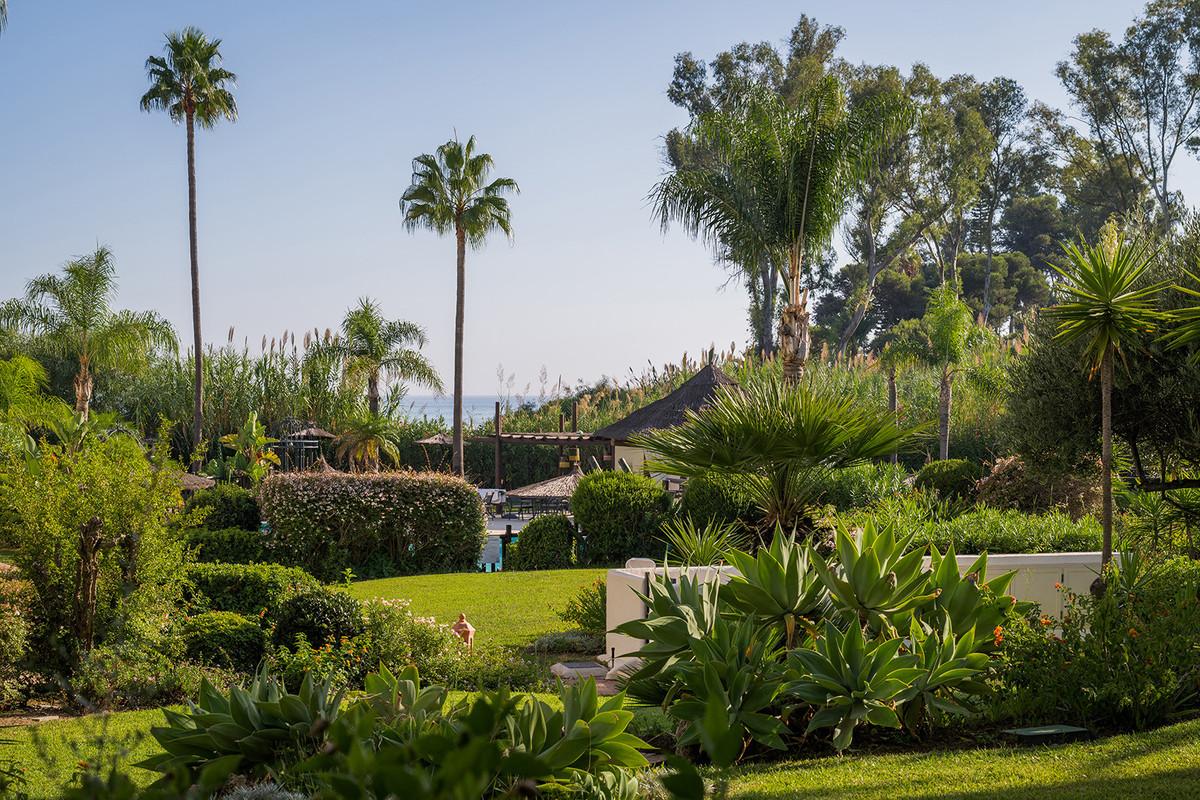 Apartment Ground Floor in Estepona