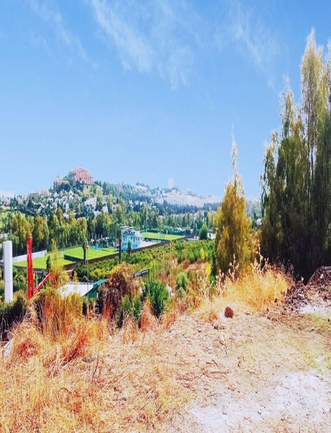 Plot Residential in La Quinta