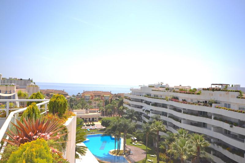 Apartment Penthouse in Puerto Ban&uacute;s