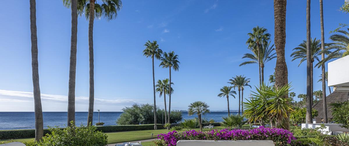 Apartment Ground Floor in Estepona