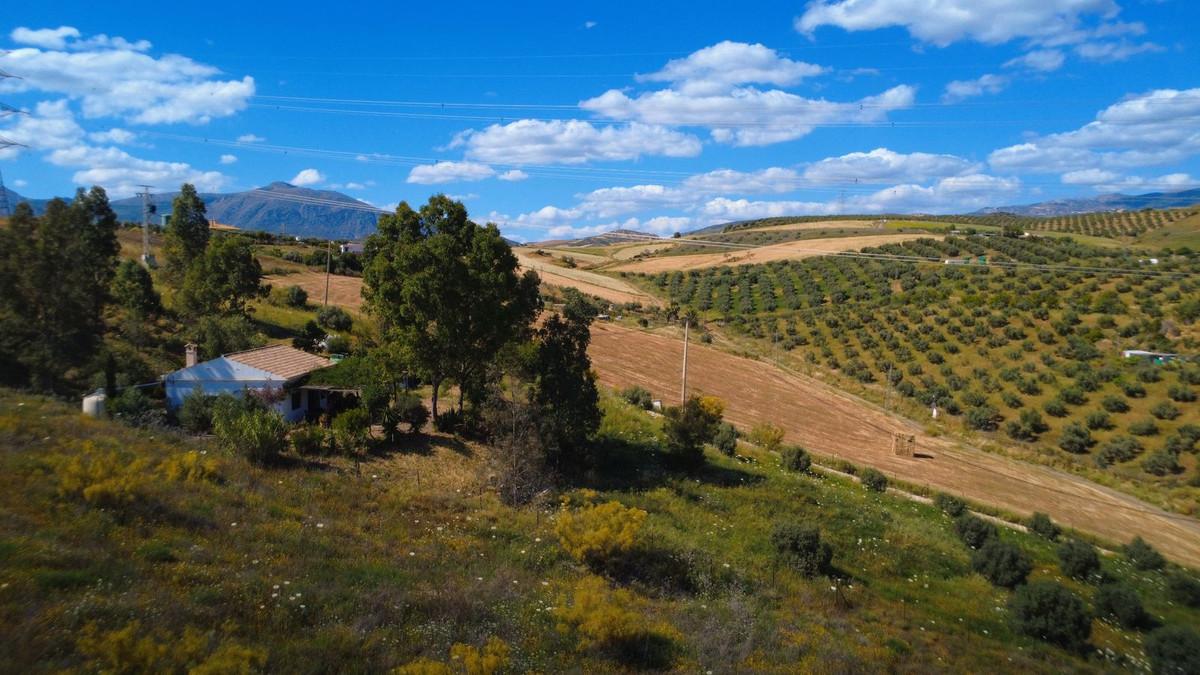 Villa Finca in Alora