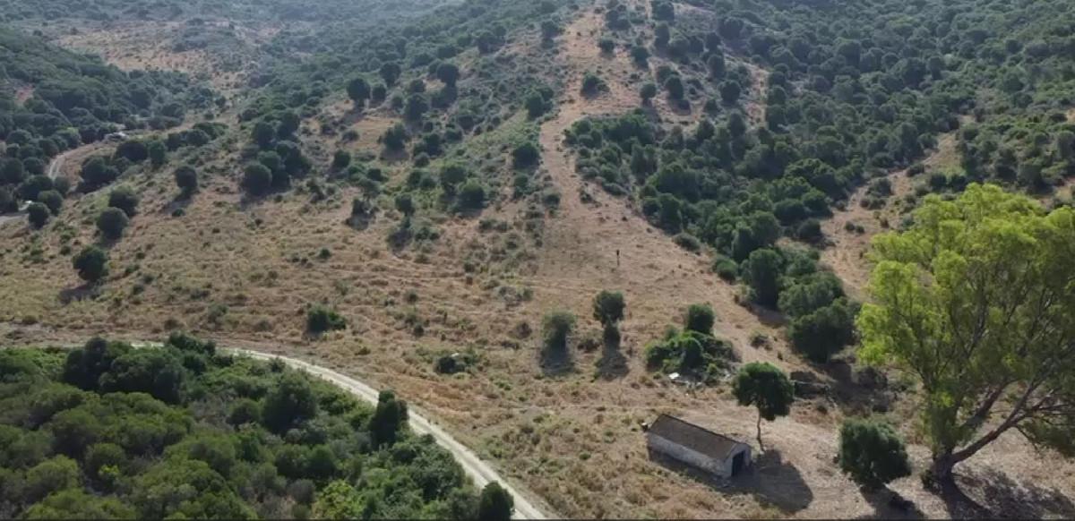 Plot Land in San Mart&iacute;n de Tesorillo