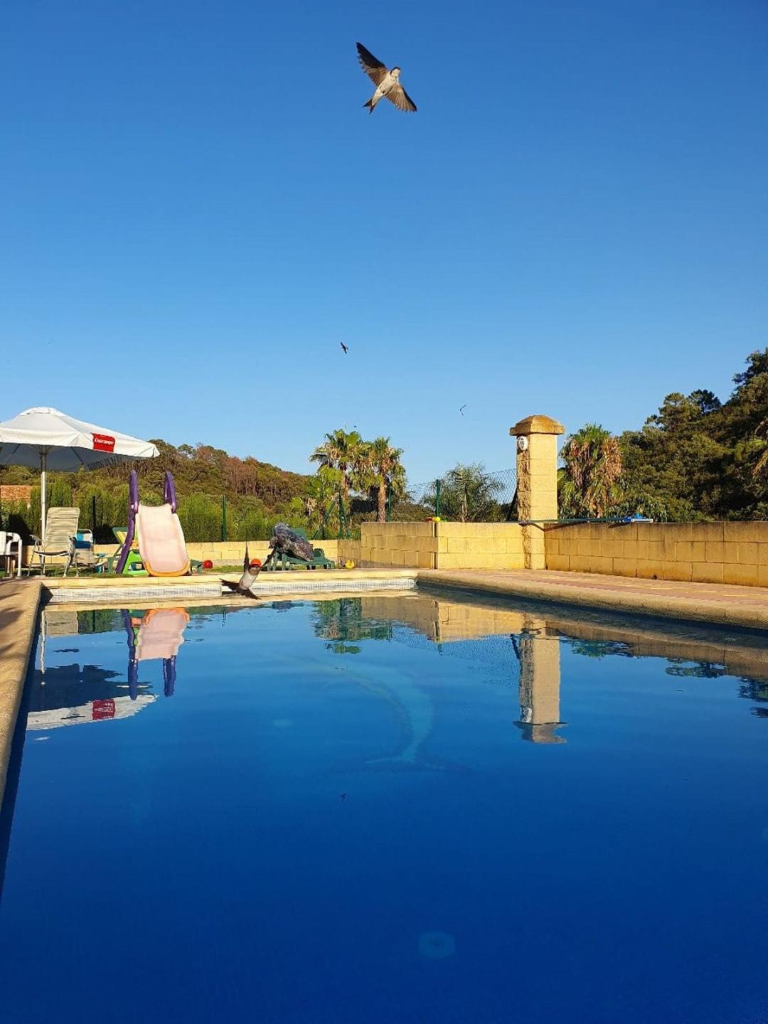 Villa Finca in Estepona