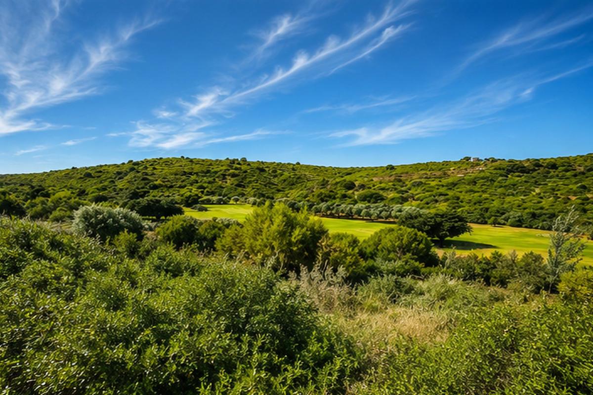 Plot Residential in Casares Playa
