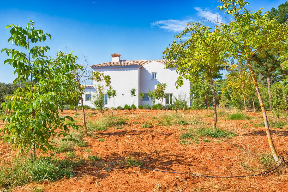 Villa Finca in Ronda