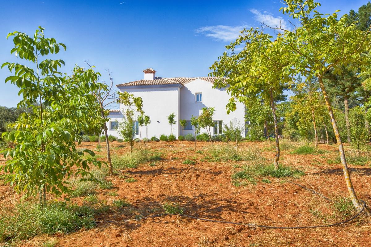Villa Finca in Ronda