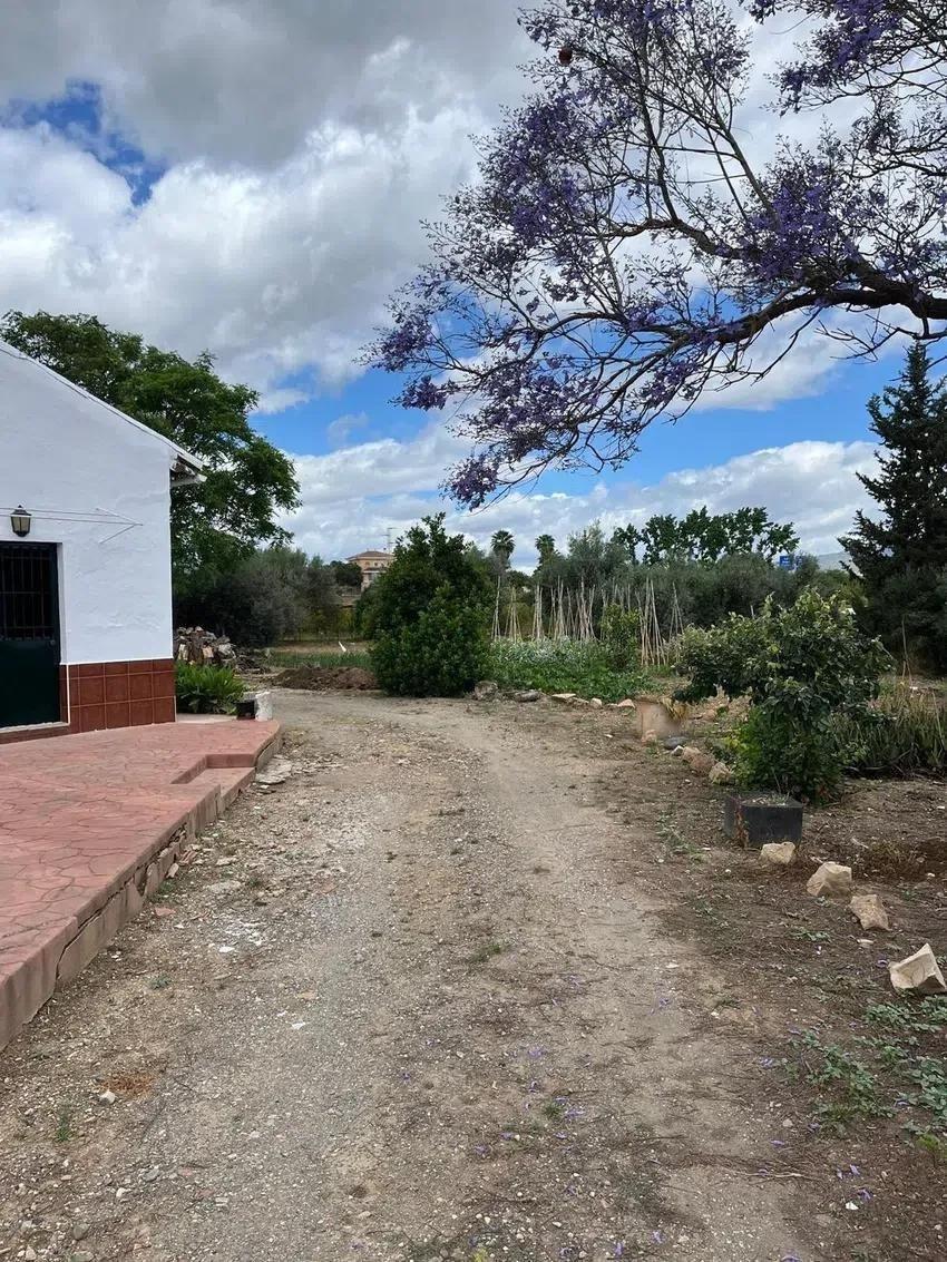 Villa Detached in Campanillas