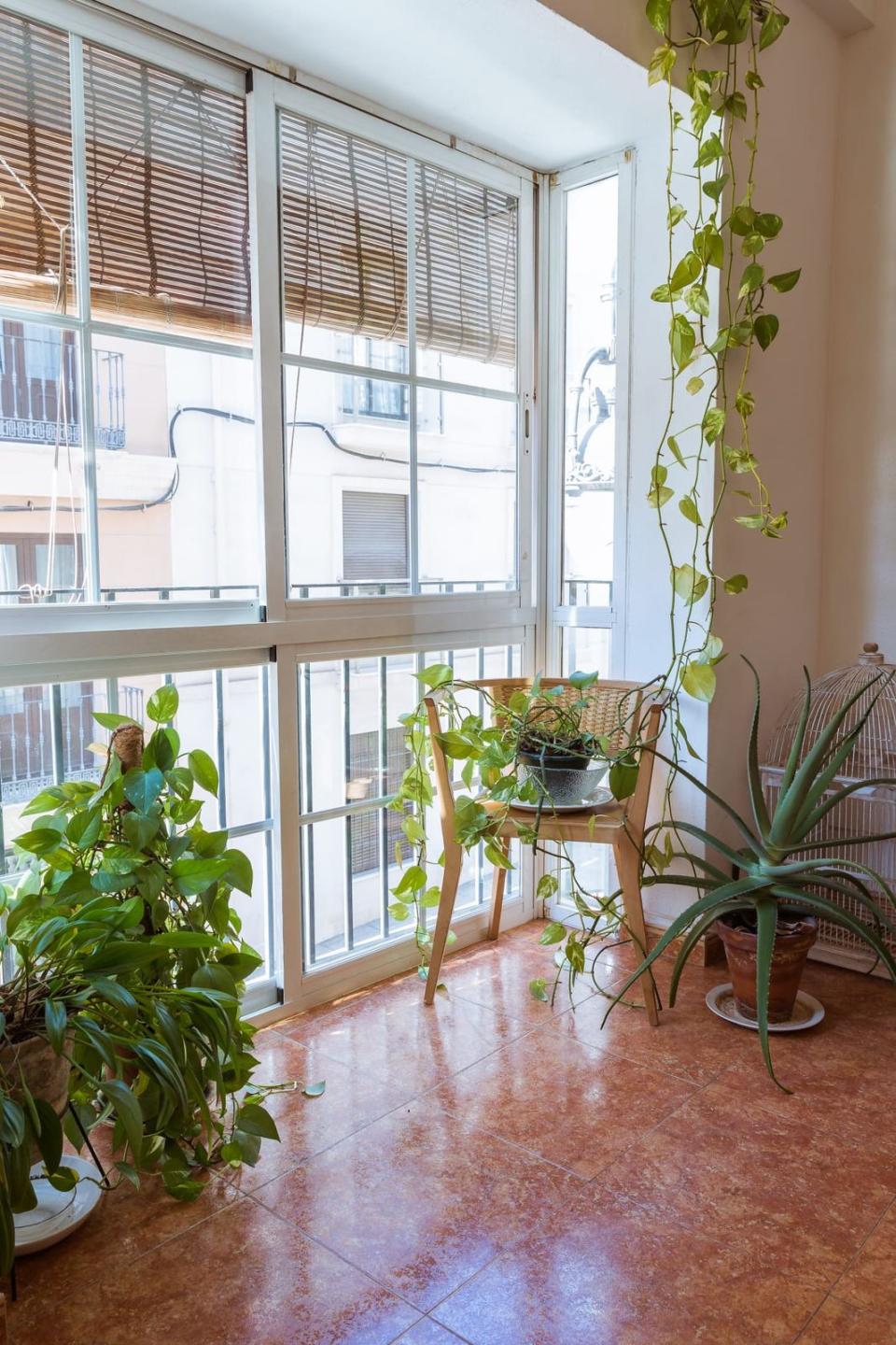 Apartment Middle Floor in M&aacute;laga Centro