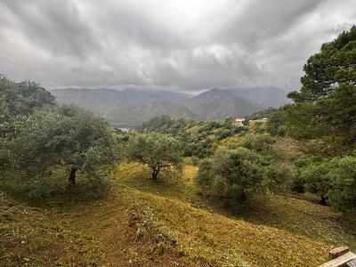 R5417842, Plot Land in Ist&aacute;n
