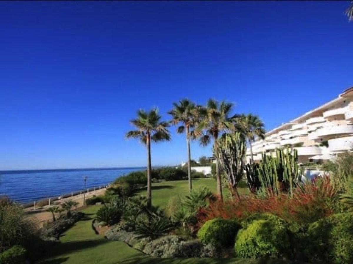 Apartment Ground Floor in Estepona