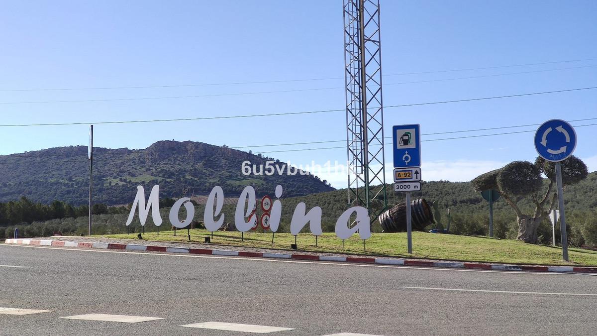 Plot Land in Mollina