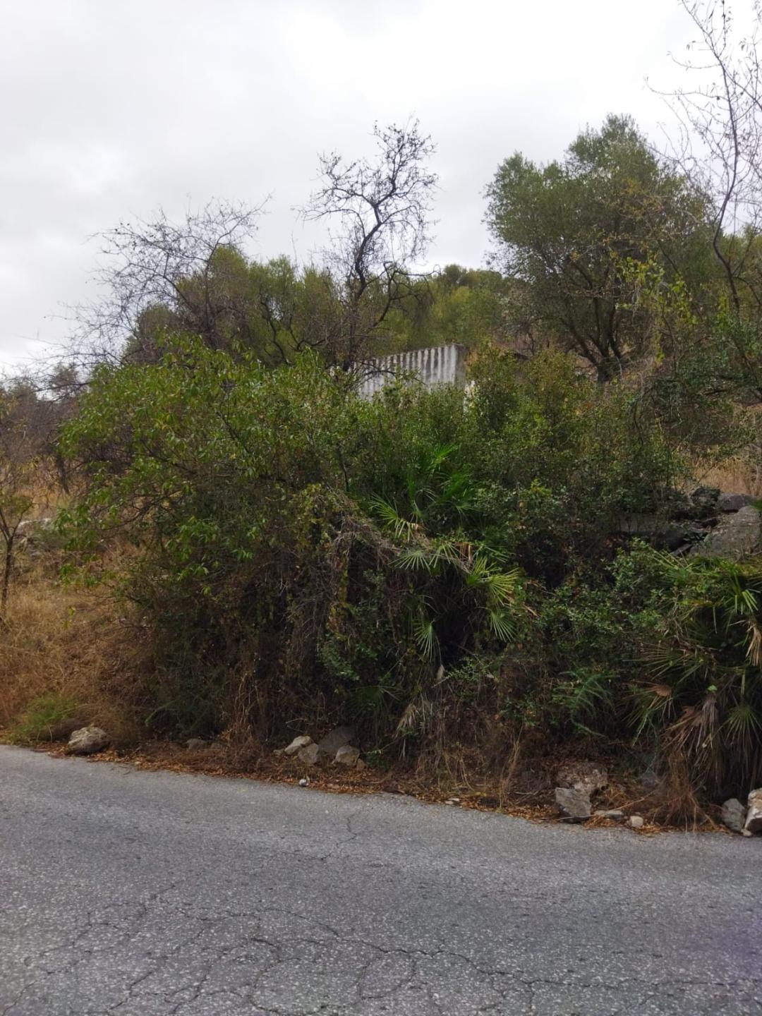 Plot Land in Alhaur&iacute;n de la Torre