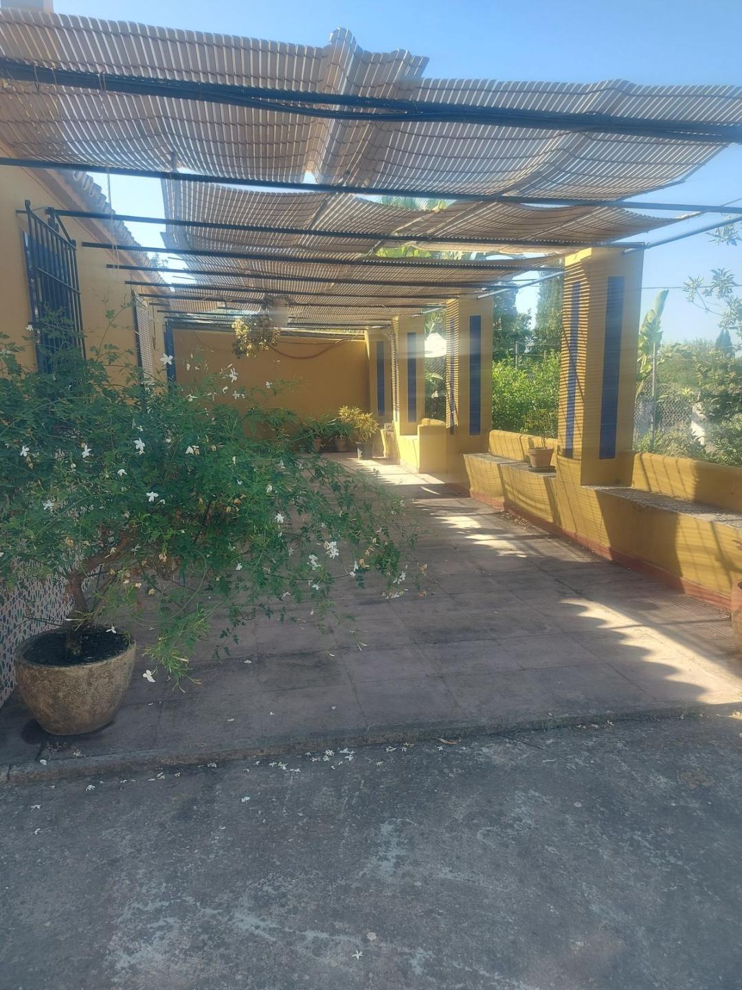 Villa Finca in San Enrique