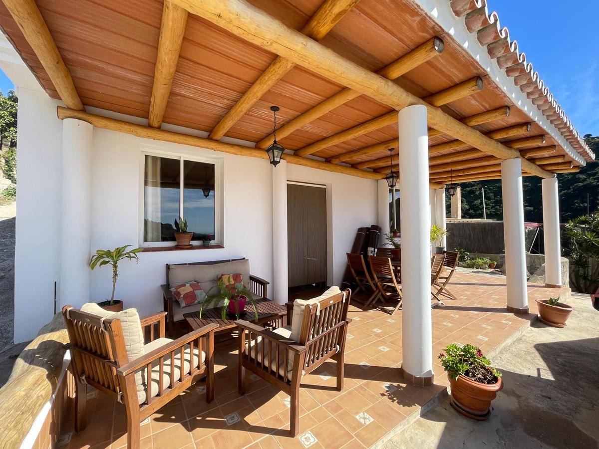 Commercial Farm in Estepona