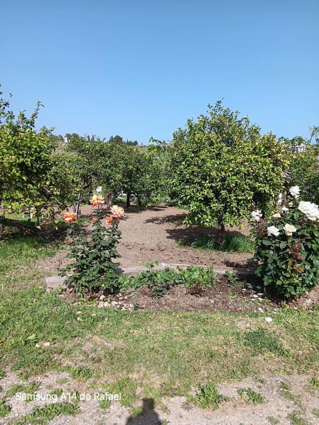 Plot Land in El Padron