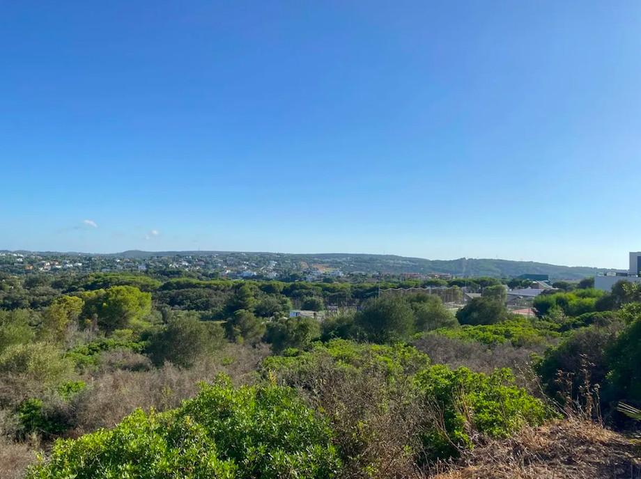 Plot Land in Sotogrande