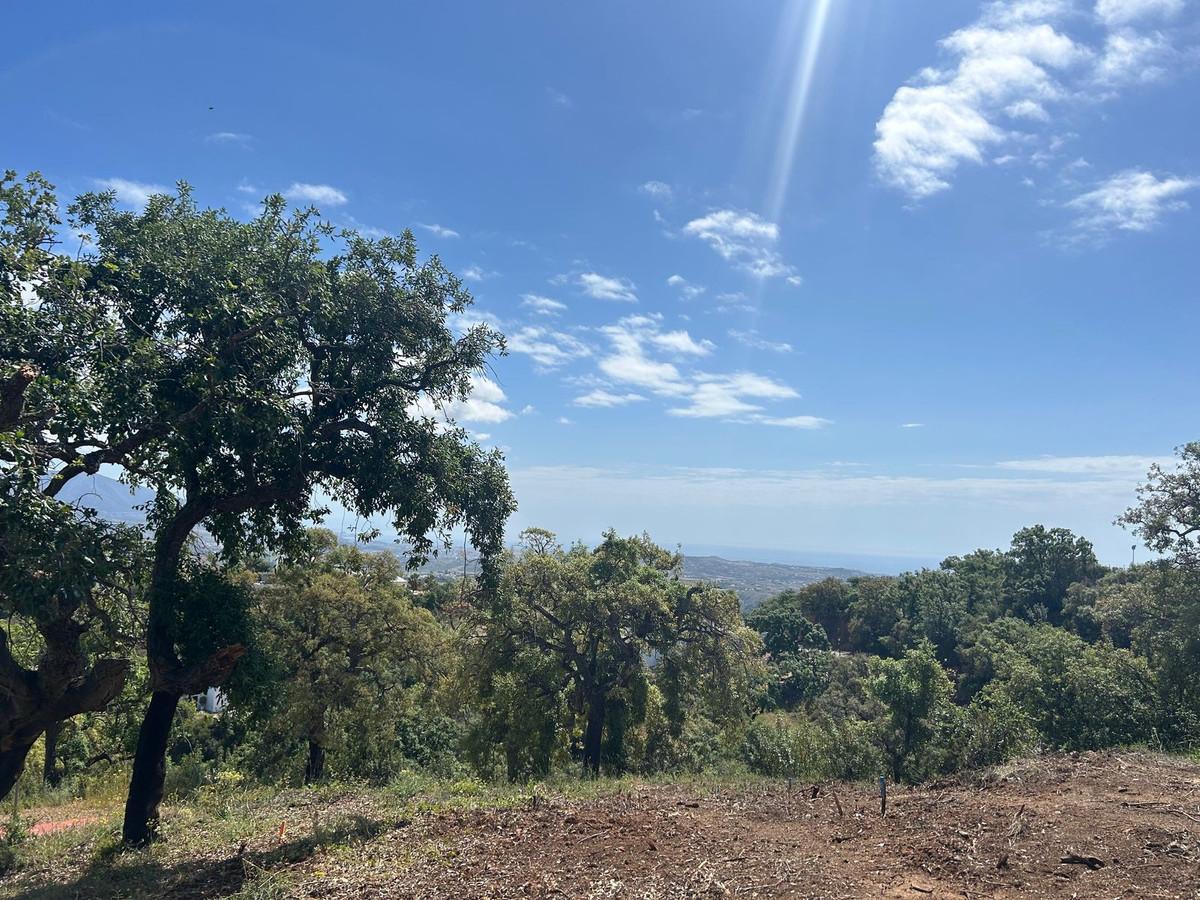 Plot Residential in La Mairena