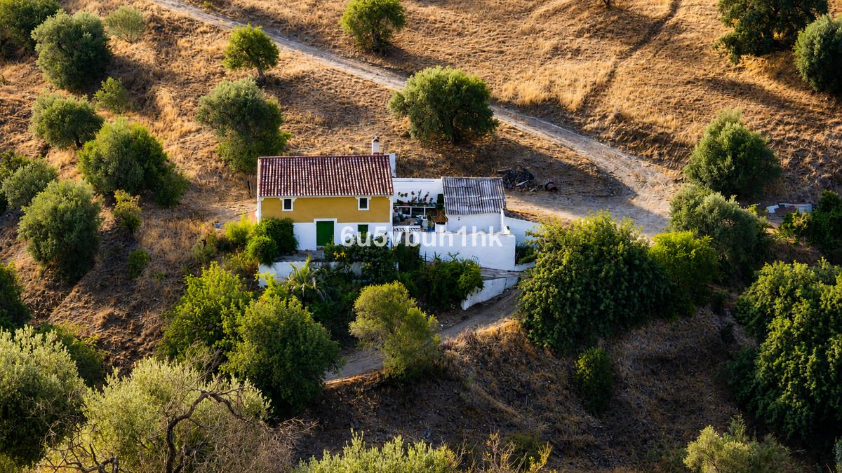 Villa Finca in Alora