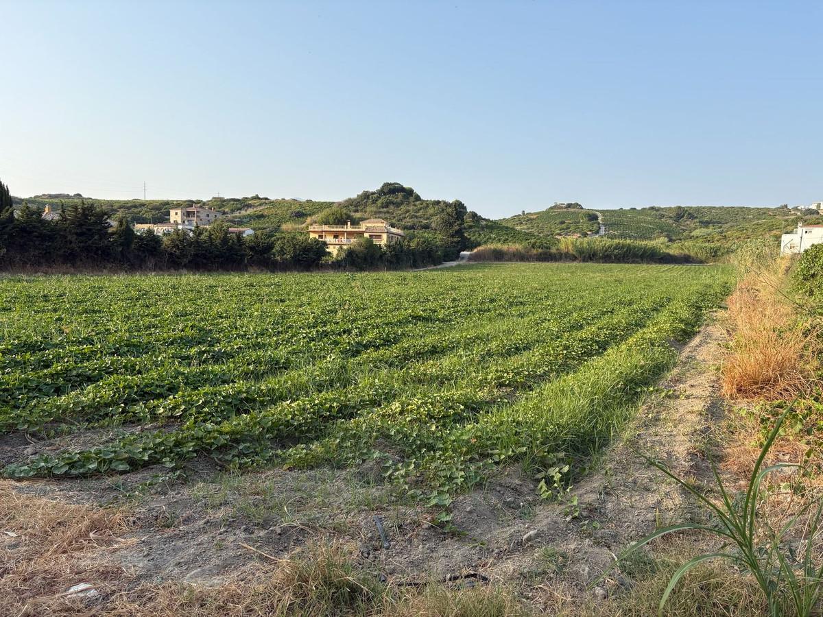 Plot Land in Casares