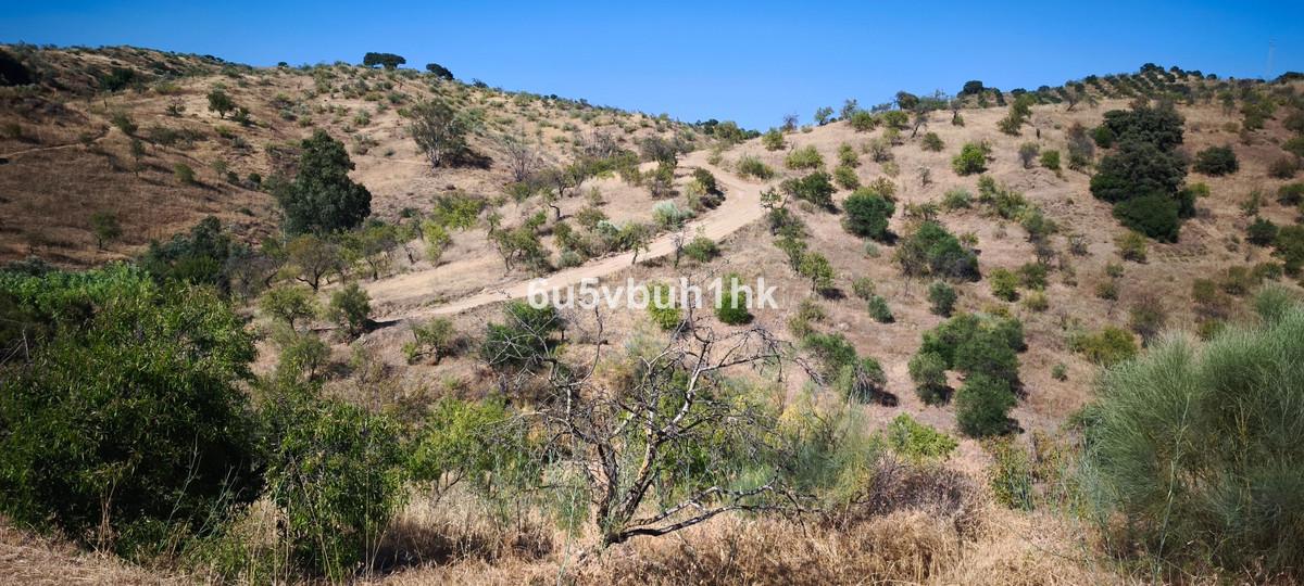 Plot Land in Pizarra