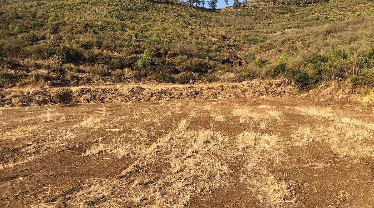 Plot Land in Oj&eacute;n