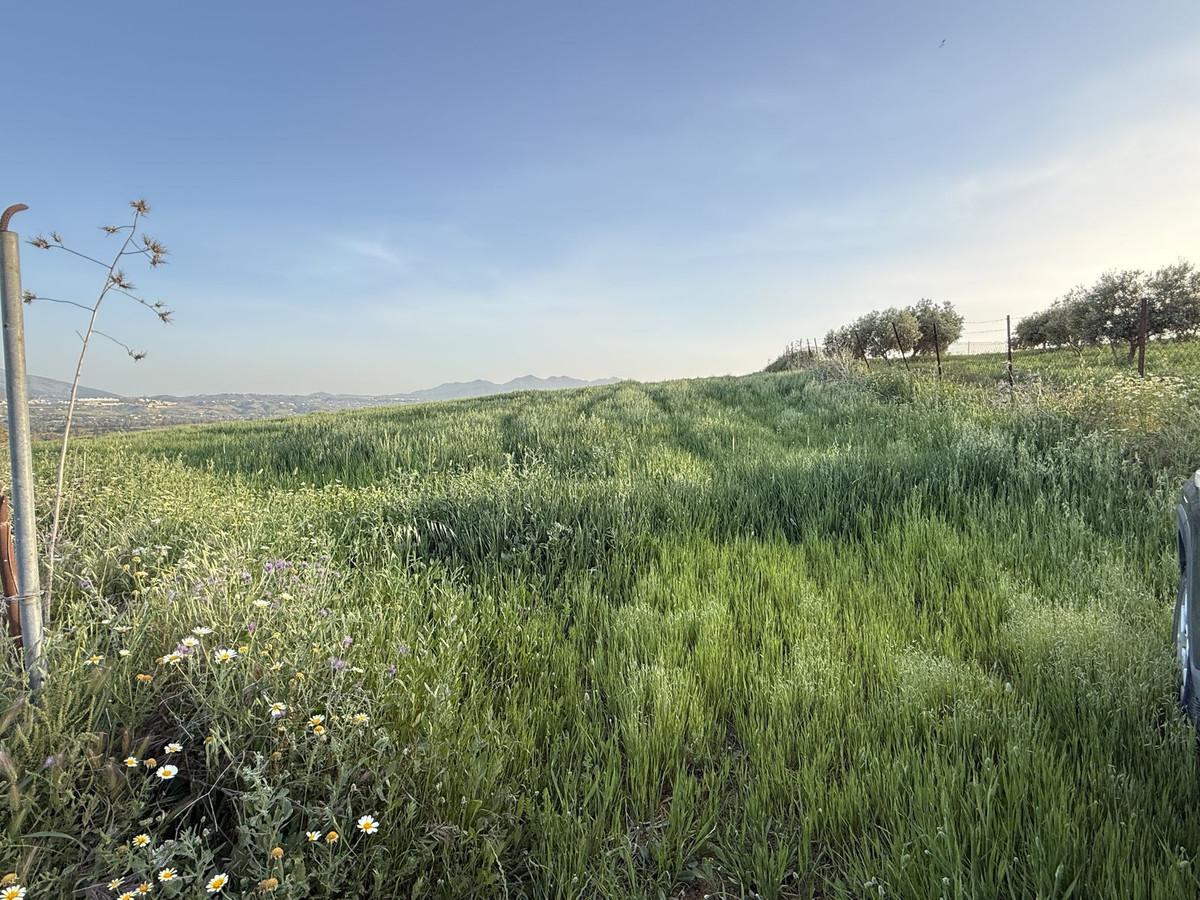 Plot Land in Co&iacute;n