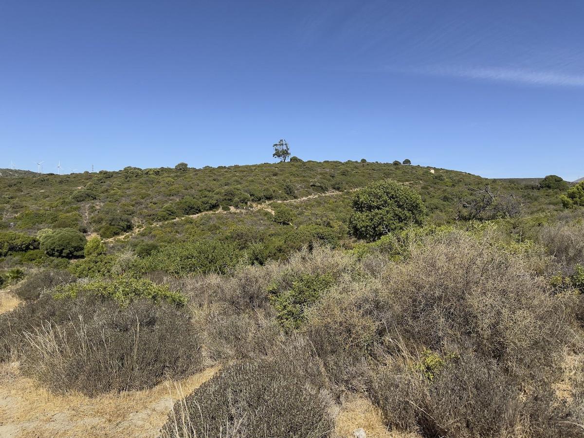 Plot Land in Casares